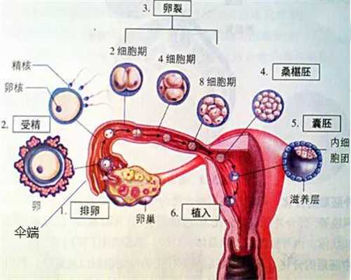 合肥代孕的费用多少,昆明三代试管婴儿三代医院排名更新?要5万吗?